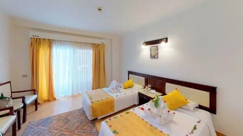Falcon naama star