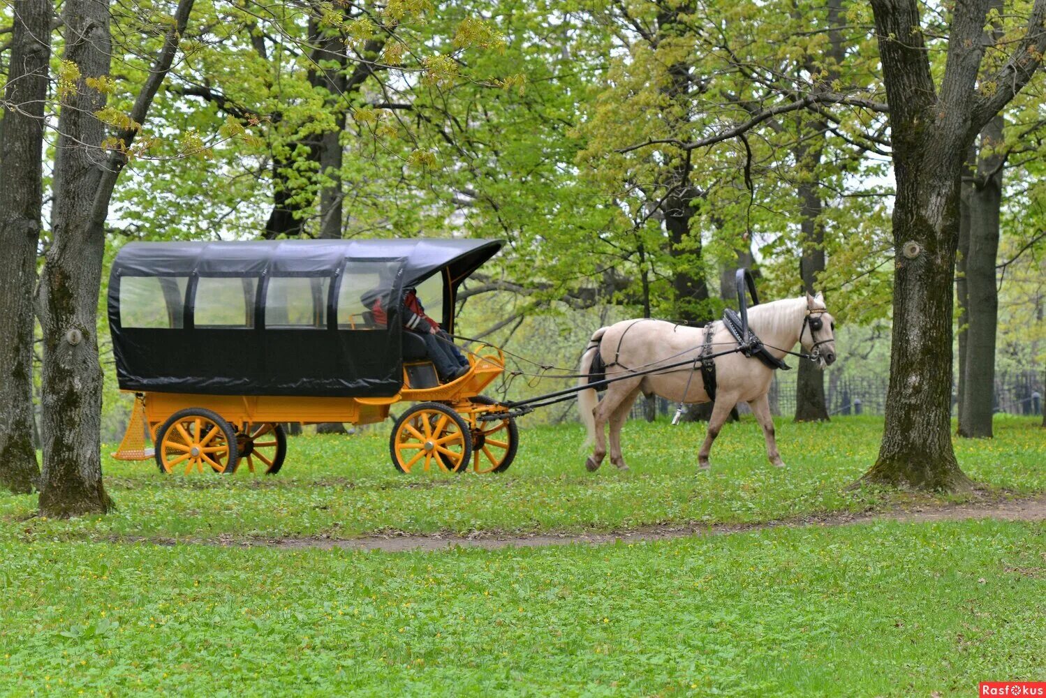 телега деревенская. лошадь с телегой в деревне. бричка въехавшая во двор остановилась перед небольшим. телега. повозка с лошадью.