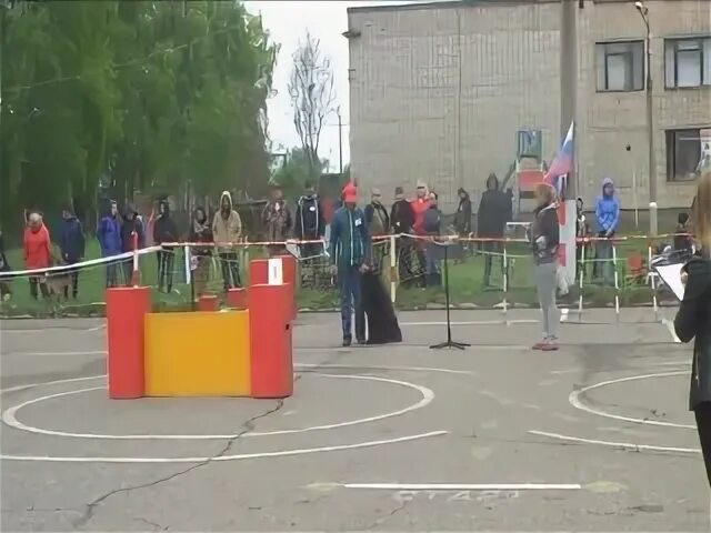 Автошкола досааф логотип. Досааф бирск. Автодром брукк салават. Досааф павлово автошкола. Досааф салават.