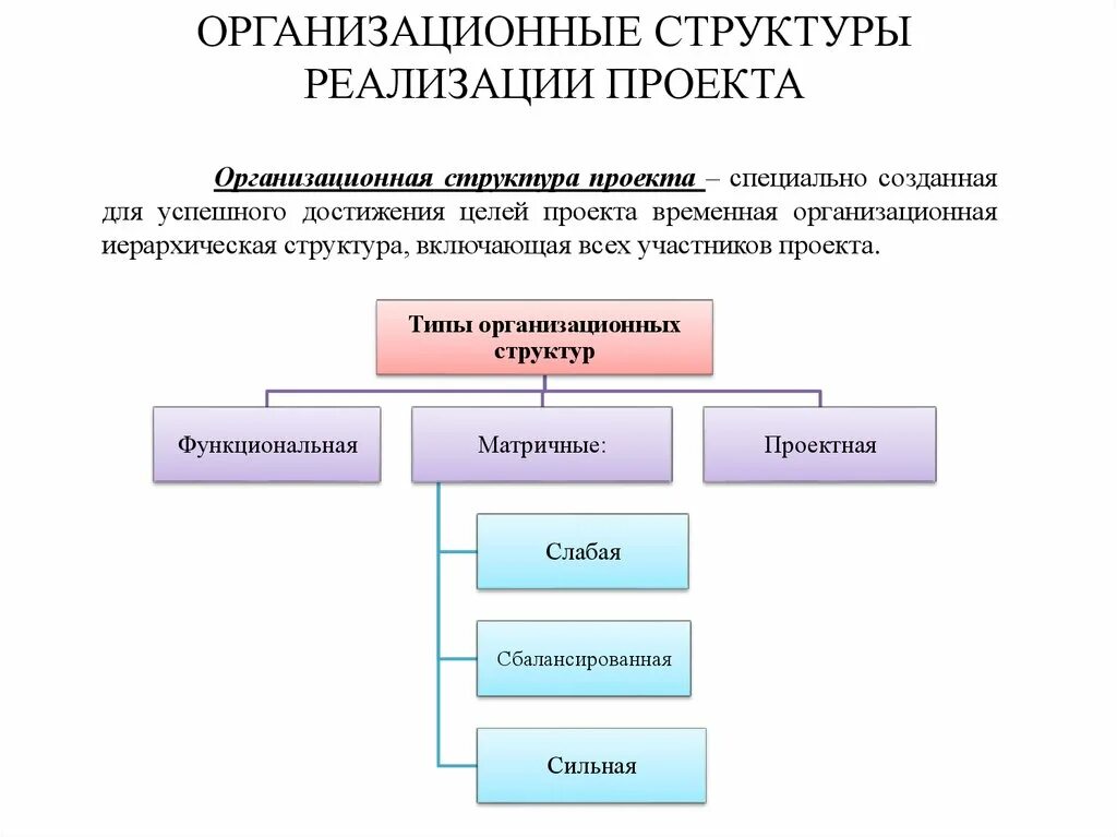 Организационные структуры реализации проекта