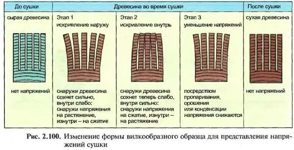 Сколько сохнет дисплей. Усыхание древесины. Таблица сушки древесины в сушильной камере. Коробление древесины при сушке. Продолжительность сушки древесины.