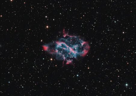 Much stars