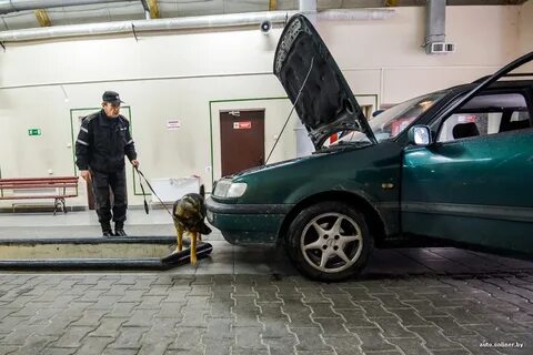 Проверка таможни авто