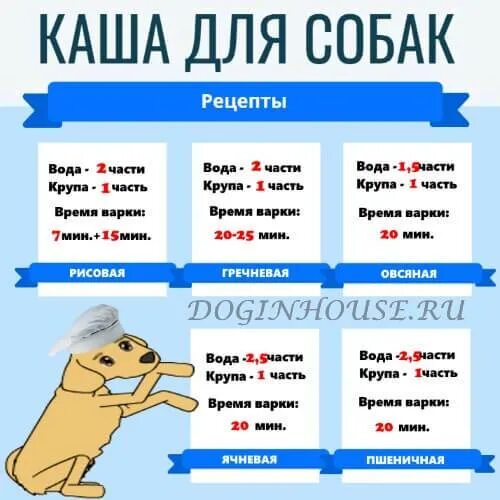 Какие крупы нельзя собакам. Какую крупу можно собакам. какую кашу варить собаке. какие каши можно собакам. какую крупу варить собаке.