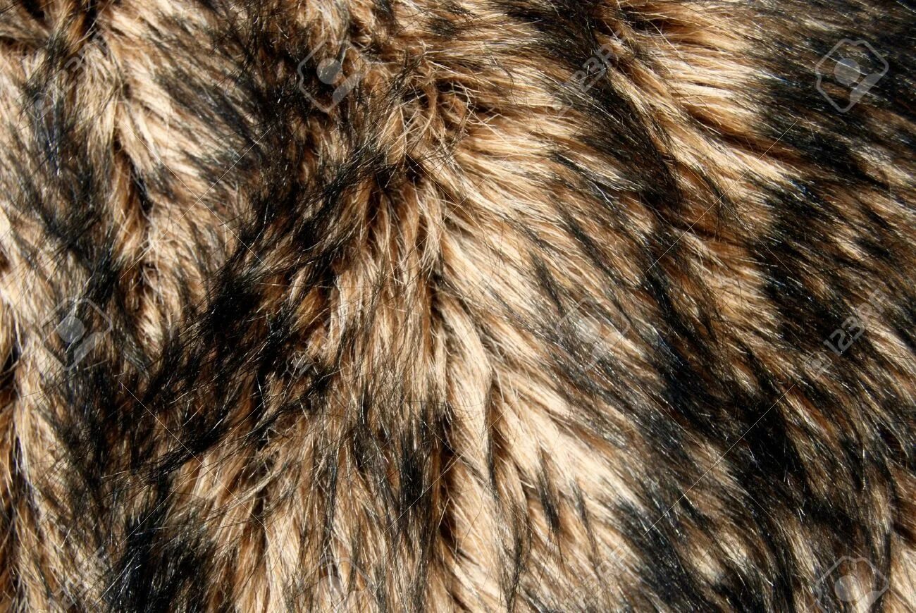Da fur. Da fur. Мех медведя. Da fur. Da fur.