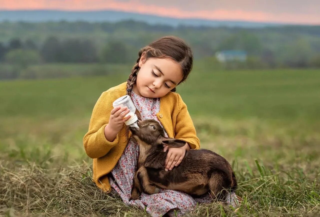 Kindness to animals. О доброте. Доброта картинки. Доброта к окружающим. Доброта к животным.