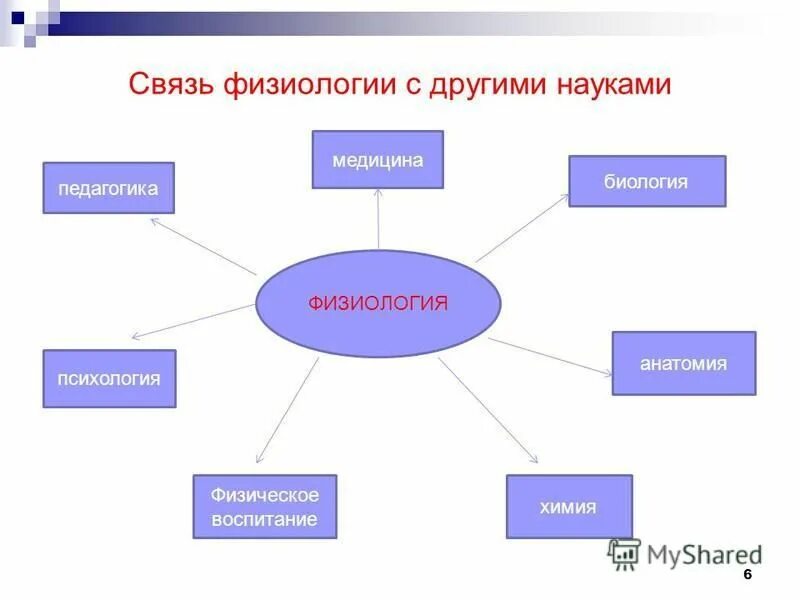 Связь с другими специалистами. Предмет физиологии ее связь с другими науками. Связь анатомии и физиологии с другими науками. Взаимосвязь анатомии с другими науками. Связь гигиены с другими науками.