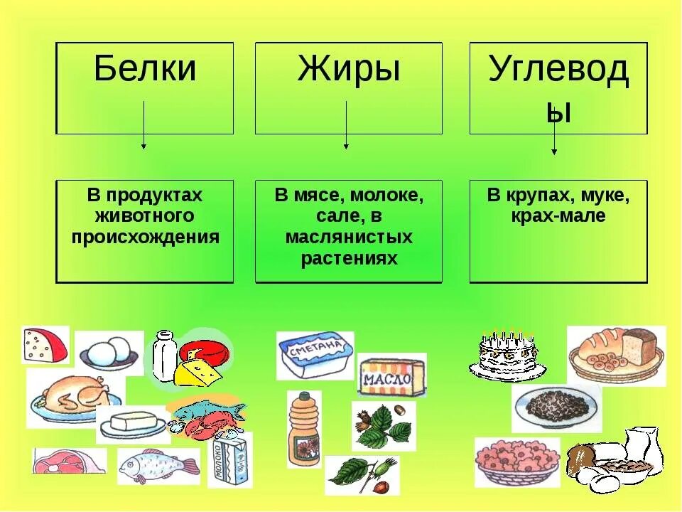 Питания и т п. Белки жиры углеводы. Жиры и углеводы. Белок жиры и углеводы. Белки жиры углеводы в продуктах.