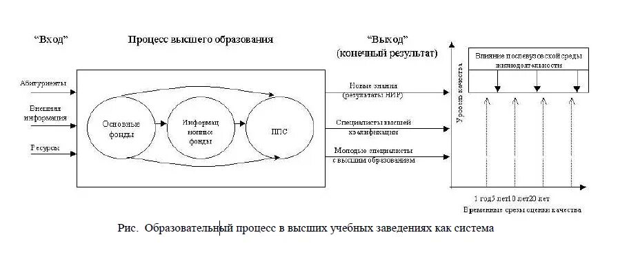 Процессы высшего образования