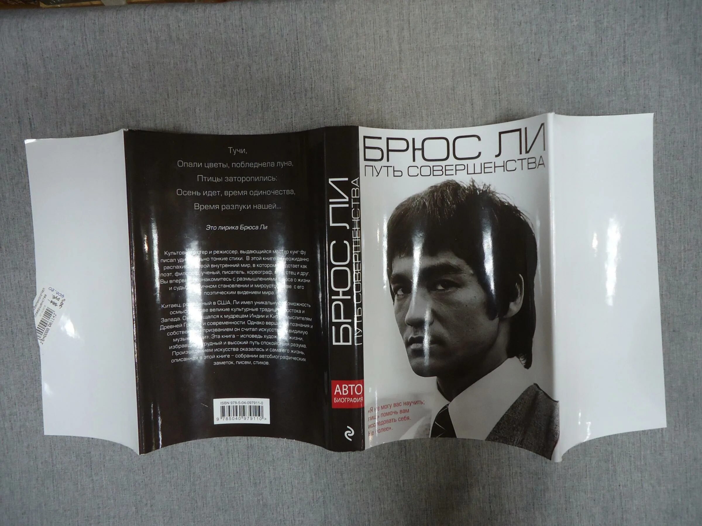 брюс ли путь совершенства. брюс дорога. вин чун против айкидо. брюс ли биография книга. путь к совершенству книга.