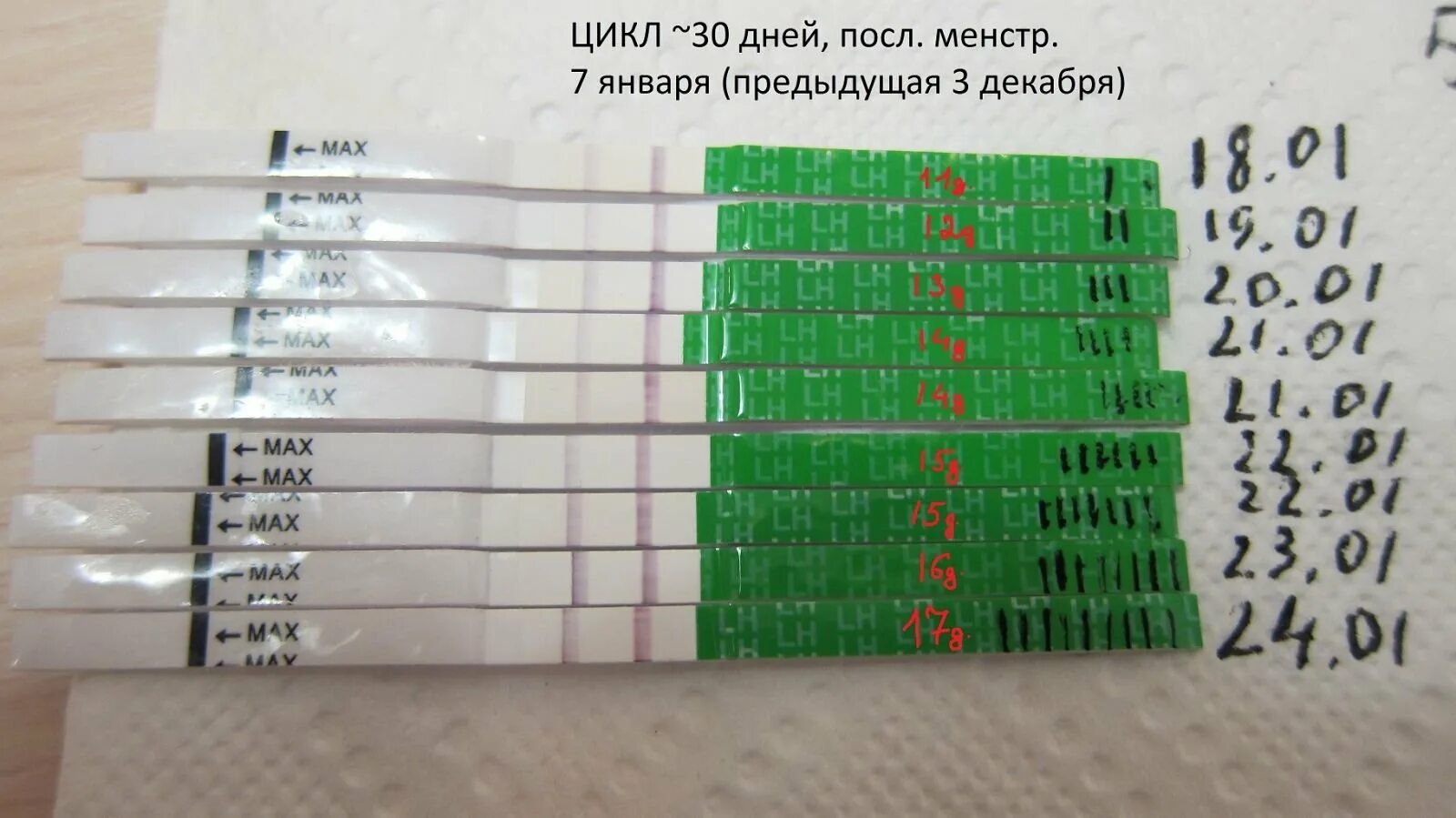 Может ли быть поздняя овуляция. Тыств на овуляцию.по дням цикла. Тесты день цикла. Тест на овуляцию. Тест на овуляцию в разные дни цикла.