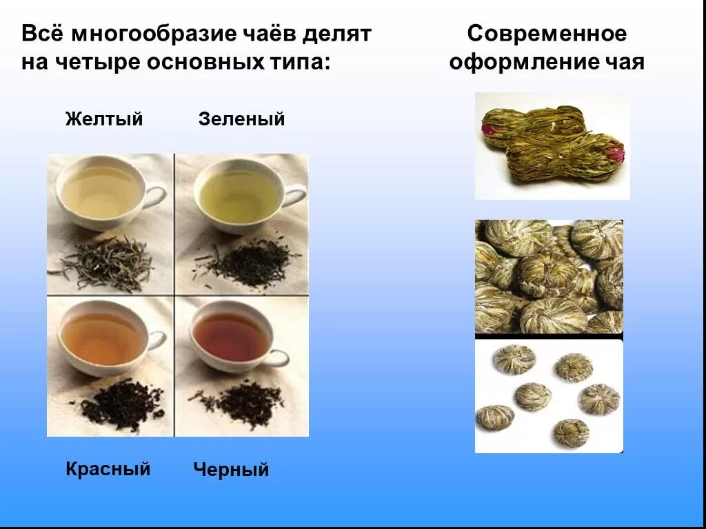 Все многообразие 6. Разнообразие чая. Презентация на тему чай. Чай для презентации. Многообразие зеленого чая.