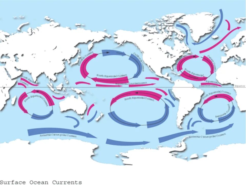Движение теплых течений. Принципиальная схема движения вод мирового океана. Глобальная циркуляция вод мирового океана. Схема течений мирового океана. Циркуляция вод в мировом океане течения.