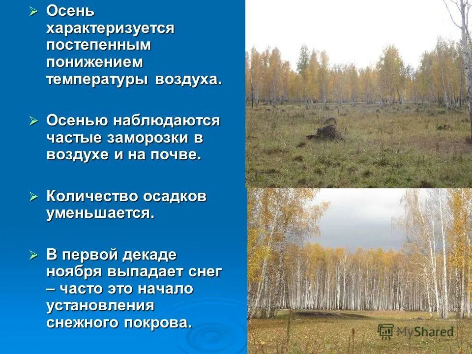 Последние дни осени сочинение. Летом в лесу приятно пахнет грибами. Красивое описание осени. Описание осенней природы. Рассказ об осенихлистьях.