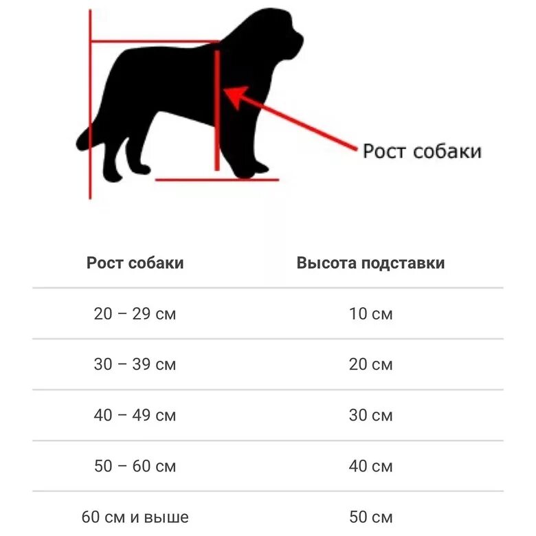 Сколько грамм овчарки. Рост и вес щенка немецкой овчарки. Лабрадор ретривер рост в холке. Рост щенка лабрадора по месяцам таблица. Вес лабрадора в 3 месяца таблица щенка лабрадора.