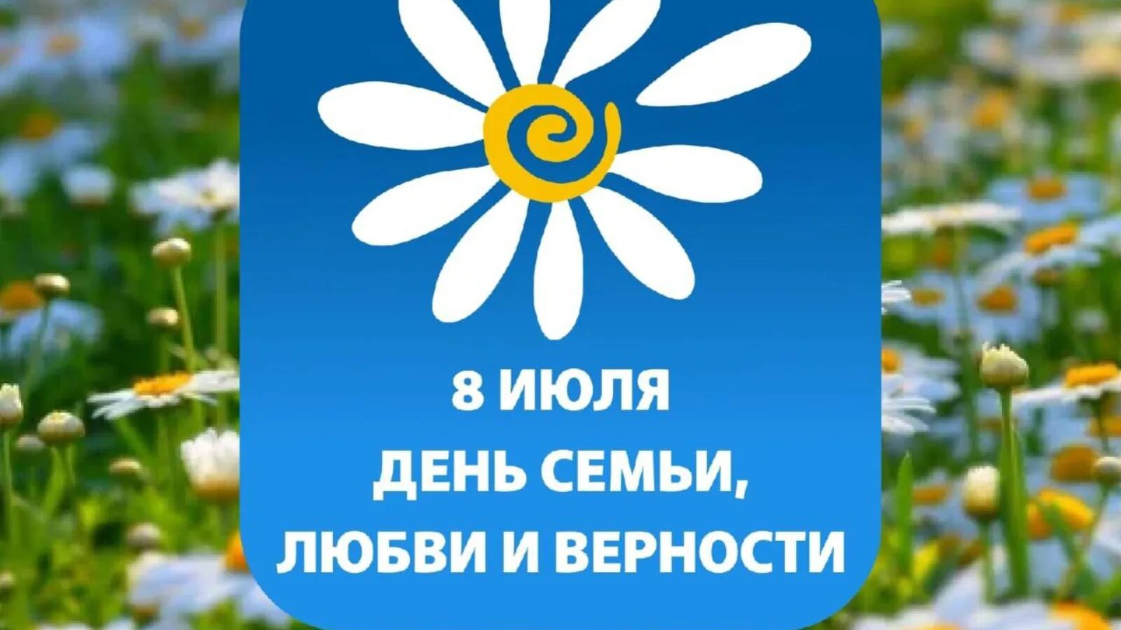 Символ любви и верности в россии. День семлюбви и верности. С днём семьи любви и верности. Ромашка 8 июля день семьи. Символ праздника день семьи.