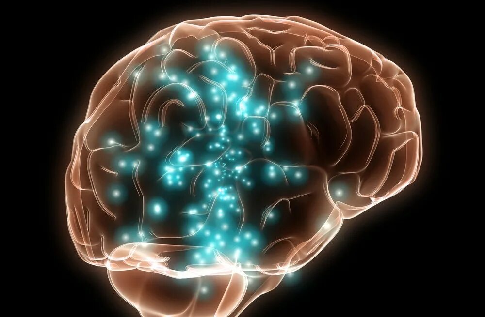 Нейробиология мозга. Мозг игромана. Разрушили голову