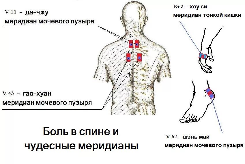 Гг точка. Ян Цзяо май Меридиан. Акупунктурные точки на теле человека от боли в пояснице. Точки ключи чудесных меридианов. Точки акупунктуры при болях в спине.