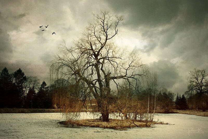 Боится пустоты. Пространство пустоты. Смешные комментарии. Одиночество боль. Боится пустоты.