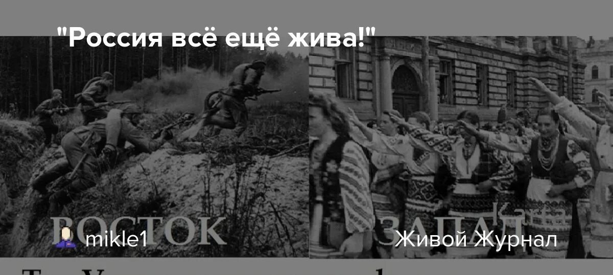 Европа пляшет на костях. Россия всё ещё жива. Европа пляшет на костях ей ненавистного народа. И грузный Швед Пушкин. Грузный Швед и Галл презрительно лукавый.