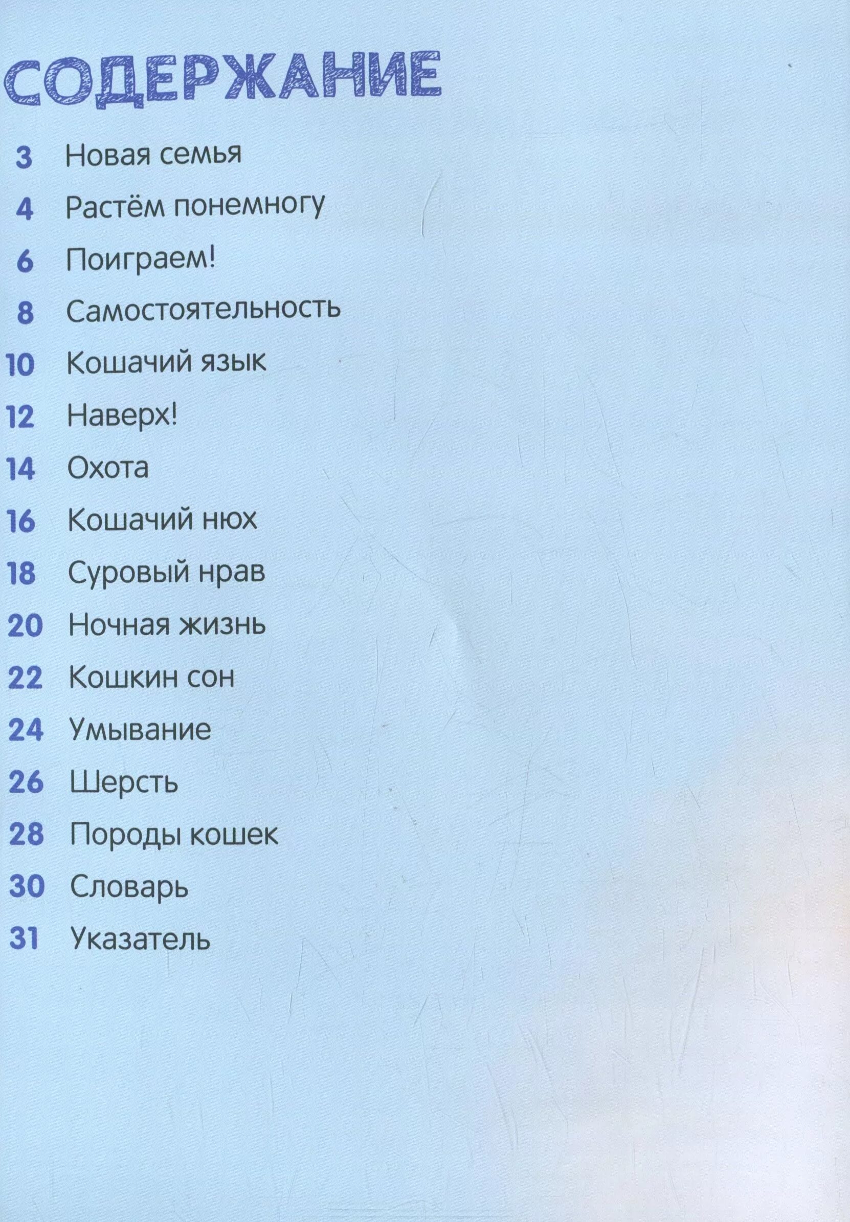 Мой кот. Русский с грамотными котами. Электронный словарь русско китайский. Знаки хвоста у кошек. Словарь кошек.