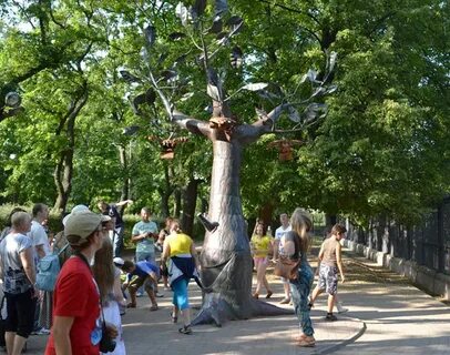 Дерево желаний в кронштадте