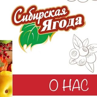 Сибирские ягоды какие