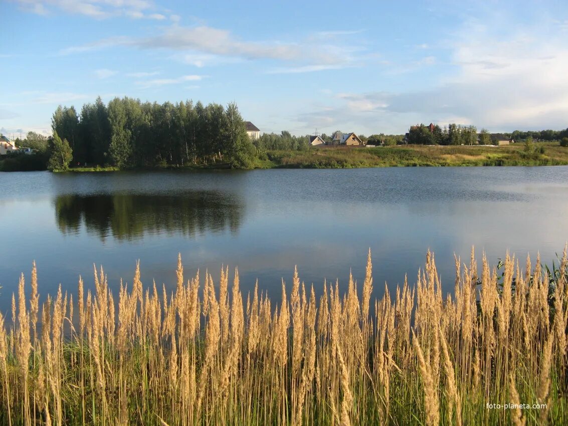 Прудцы дмитровский р- н мос. Прудцы дмитровский район. Прудцы пруд дмитровский район деревня. Прудцы дмитровский район. Прудцы дмитровский.