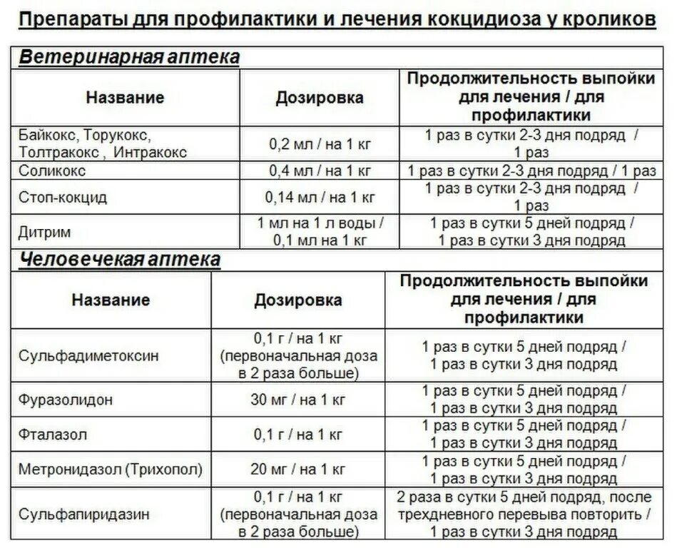 Курс лечения 4 дня