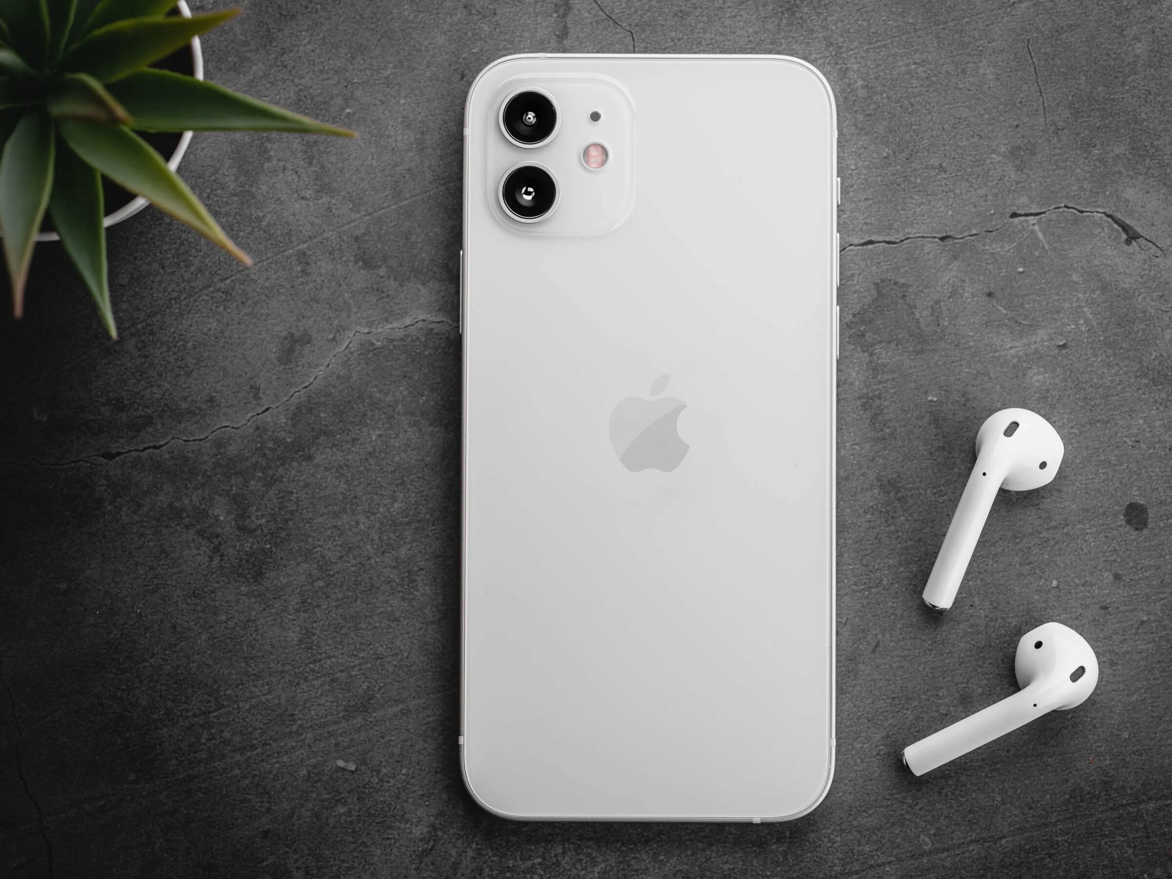 Айфон 12 про белый. Iphone 13 белый. iphone 12 белый. iphone картинка. iphone 13 white back view.