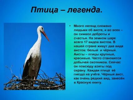 Миф многие