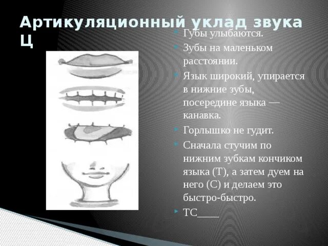 Артикуляционный уклад ц. Артикуляционный уклад звука ц. Правильный артикуляционный уклад звука с. Схема артикуляции звука ц. Артикуляция ц