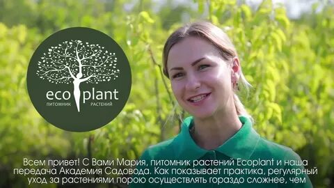 Eco plant