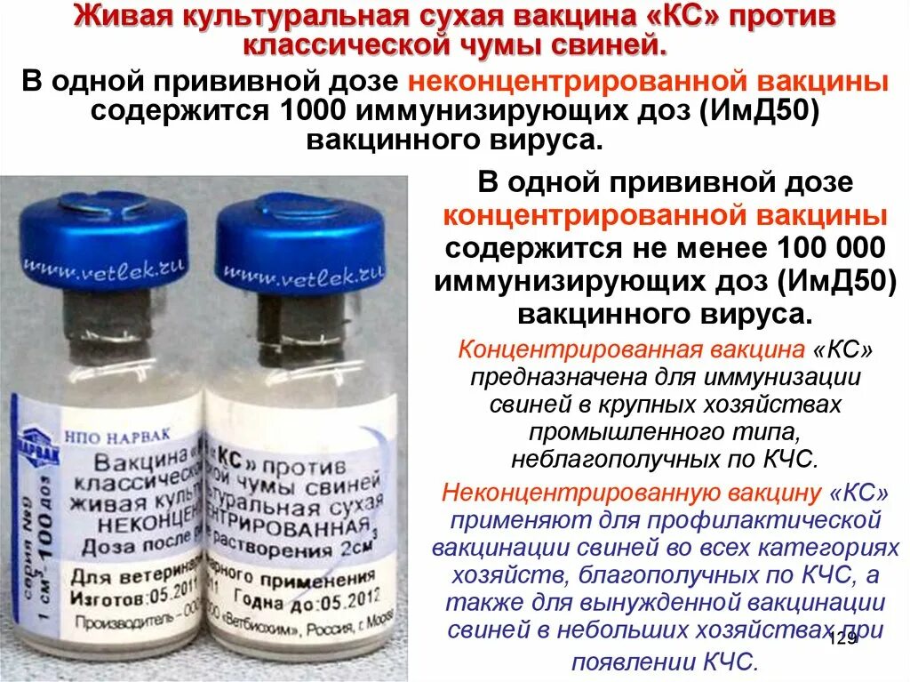 Концентрированная вакцина. Вакцина КС против классической чумы свиней. Вакцины против чумы свиней инструкция. Вакцина против классической чумы свиней из штамма КС. Вакцина чумная Живая сухая.