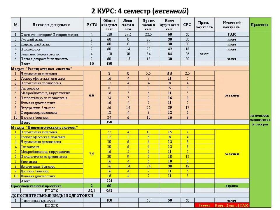 1 курс 2 курс 3 курс. Учебный план 1 курса медицинского университета. Учебный план по специальности. Предметы в техникуме. Список предметов в медицинском колледже.