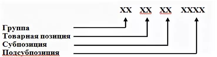 Товарная позиция тн. Структура кода тн ВЭД ЕАЭС. Структура кода тн ВЭД. Структура десятизначного кода тн ВЭД. Код тн ВЭД структура кода.