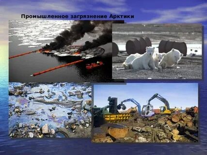 Какая экологическая проблема существует в арктике