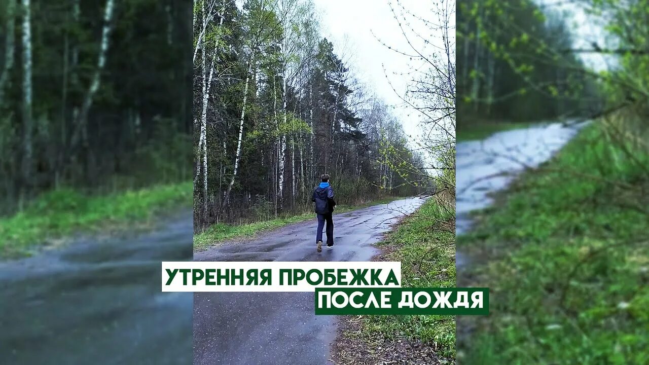 Как называется запах земли после