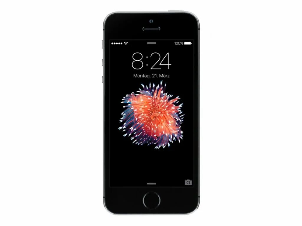 Смартфон Apple iphone se 32gb. Iphone se 32gb Black. Айфон se 16 ГБ. Apple iphone se 32gb Rose Gold.