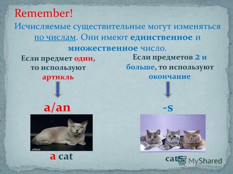 Английский язык тема существительное