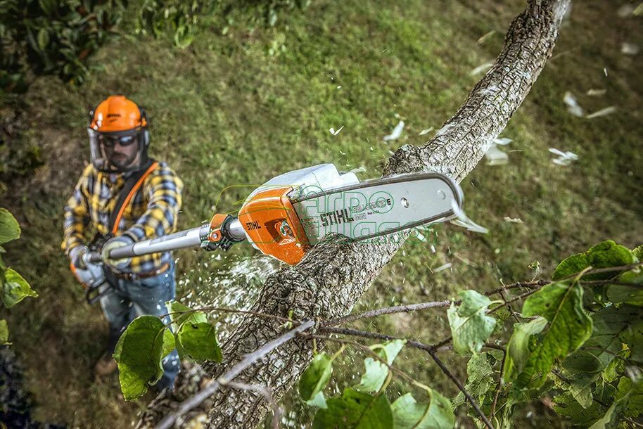 Сучкорез электро. Высоторез аккумуляторный Stihl. Stihl HTA 85. Аккумуляторный высоторез Stihl HTA 86. Штиль 85 высоторез.