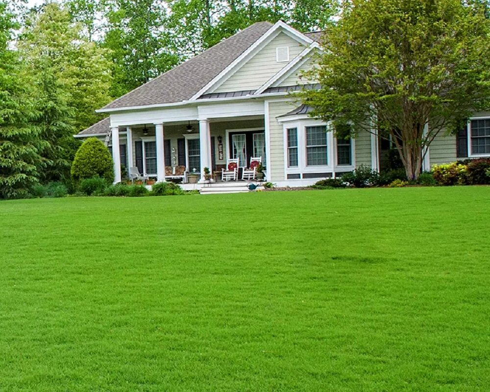 красивый дом с газоном. френшем графство суррей. дом зеленая трава. трава около дома. газон во дворе.