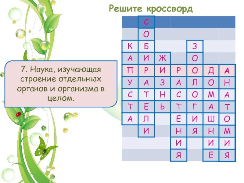 Кроссворд на тему науки изучающие организм человека. Решите кроссворд. Решение кроссворда 7 класс. Вырабатывает пыльцу сканворд 7. Реакция организма сканворд