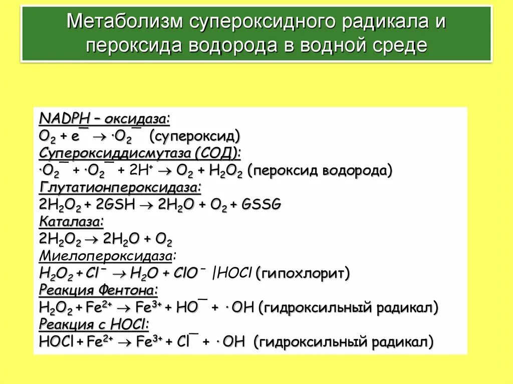 Супероксидный радикал