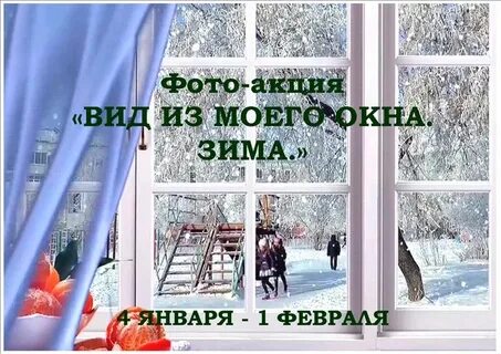 Из моего окна книга