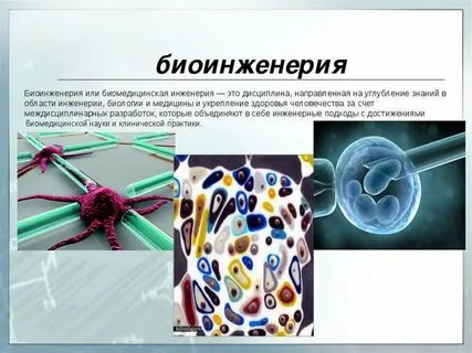 Биоинженер где учиться
