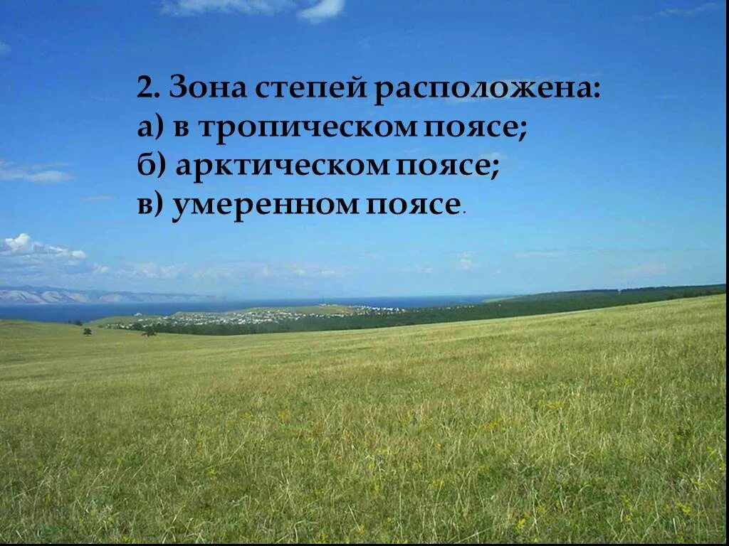 Степи презентация 7 класс. Климат степи. Степь природная зона. Климатические зоны степей. Климат степи в России.