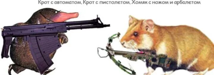 Кроты хомяки. Кроты хомяки будет битва. Кроты хомяки. Кроты хомяки. Кроты хомяки песня.