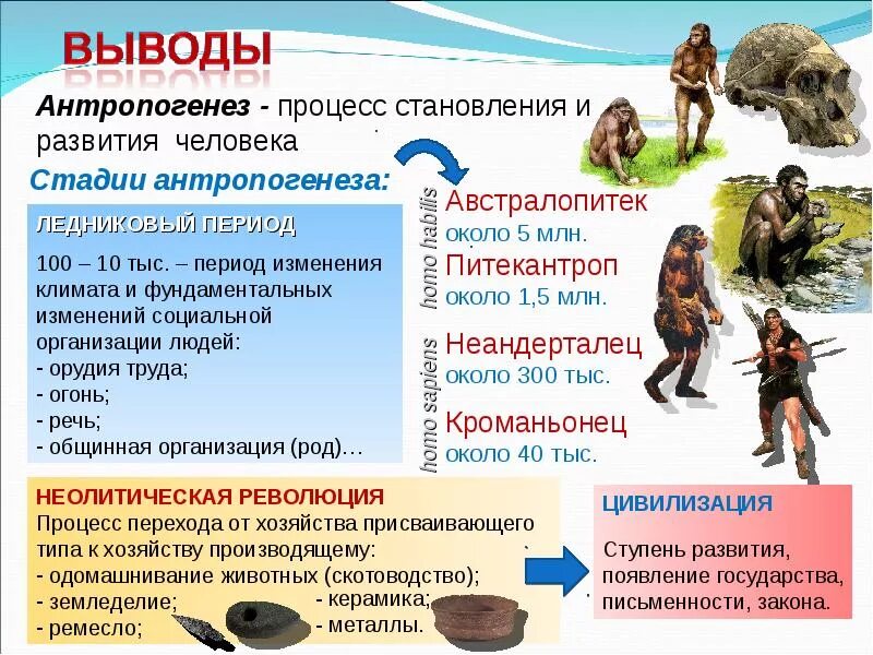 Этапы изменения жизни. Периоды жизни первобытных людей. Первобытная эпоха этапы становления человека. Этапы развития первобытного человека. Этапы антропогенеза человека.