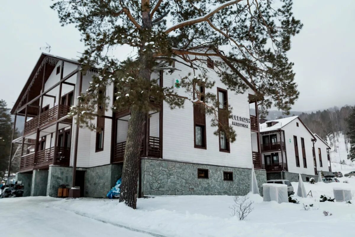 всесезонный курорт манжерок горный алтай. всесезонный курорт манжерок горный алтай. манжерок горнолыжный курорт. курорт манжерок горный алтай. манжерок 1020.